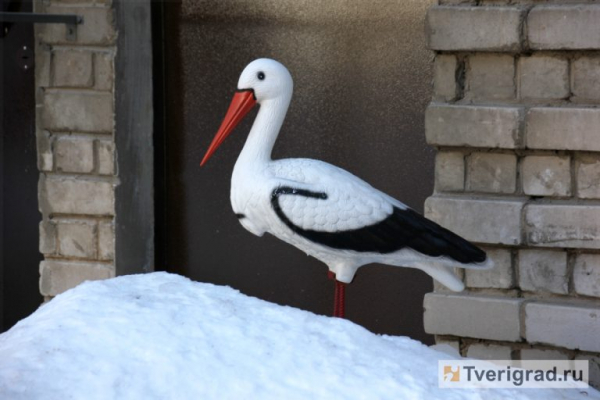 Ради жизни: эксперты оценили важность совершенствования медпомощи для демографии
