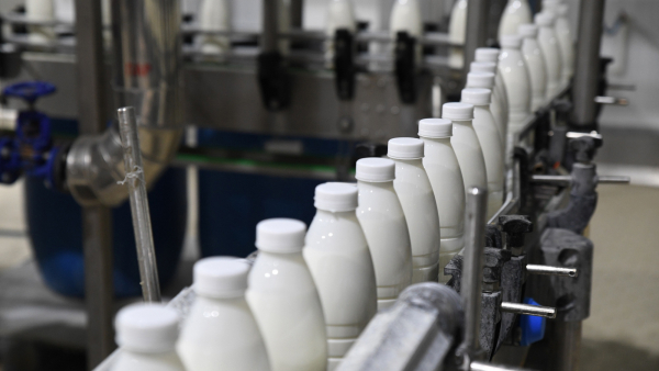 В Кашине на ярмарке продавали молочную продукцию с бактериями кишечной палочки В Кашине на ярмарке продавали молочную продукцию с бактериями кишечной палочки