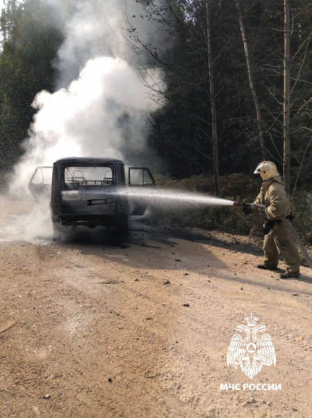 В Тверской области во время движения загорелась машина В Тверской области во время движения загорелась машина