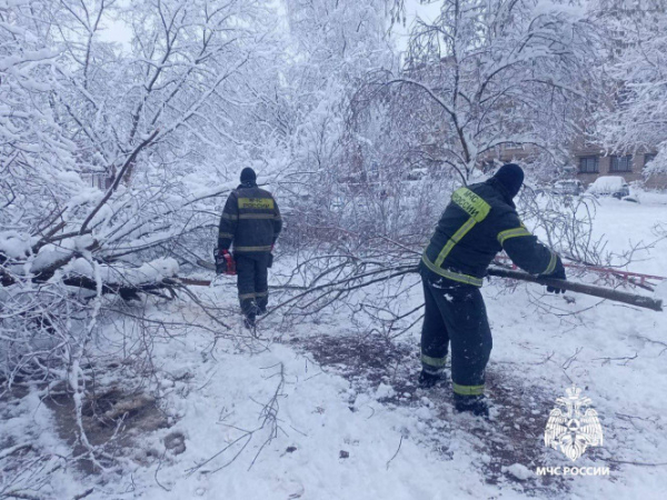 МЧС опубликовало фотографии ликвидации последствий циклона в Тверской области МЧС опубликовало фотографии ликвидации последствий циклона в Тверской области