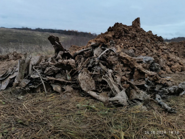 Поисковики рассказали историю бомбардировщика, найденного в земле под Зубцовом Поисковики рассказали историю бомбардировщика, найденного в земле под Зубцовом