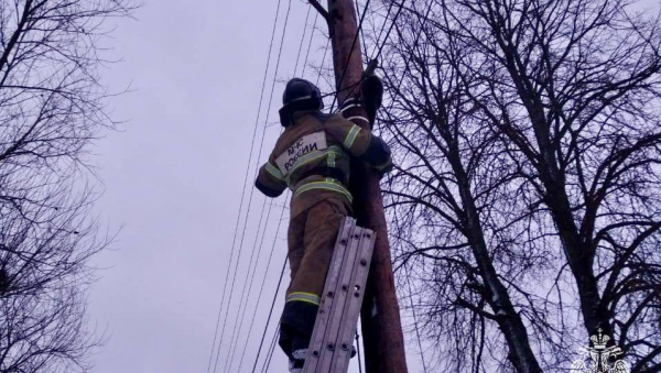 В Спирово пожарные помогли коту слезть со столба В Спирово пожарные помогли коту слезть со столба