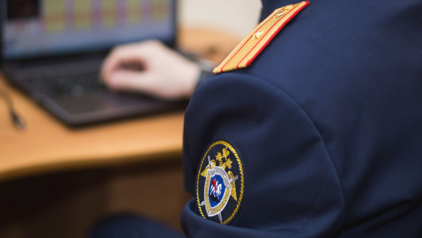 Прокуратура и СК начали проверку по факту ДТП с двумя девочками в Тверской области Прокуратура и СК начали проверку по факту ДТП с двумя девочками в Тверской области