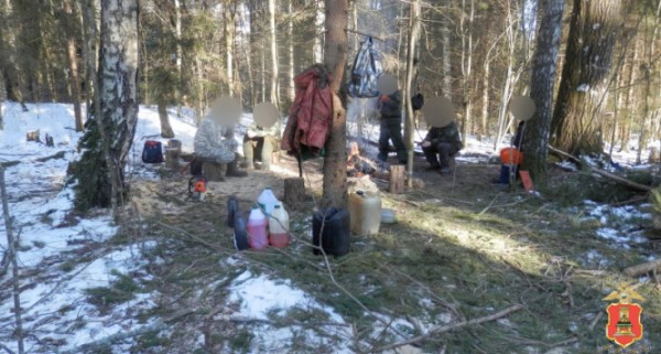 В Тверской области "черные" лесорубы вырубили леса на 22 миллиона рублей В Тверской области "черные" лесорубы вырубили леса на 22 миллиона рублей