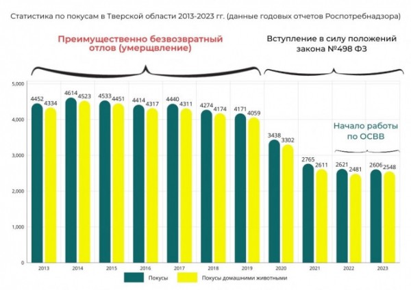 Приют, добрые руки или мучительная смерть. Тверские зооволонтеры выступили против эвтаназии животных