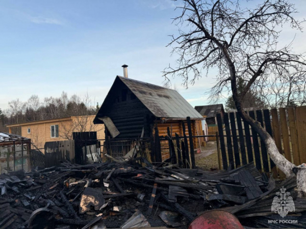 В Калининском округе из-за пожара от бани осталась только кирпичная труба