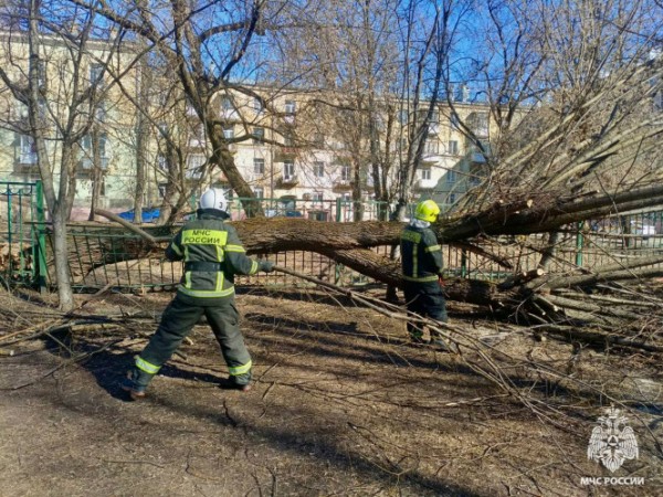 В Твери дерево упало на территорию детского сада и сломало забор