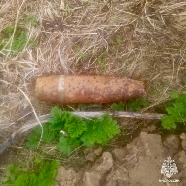 В Тверской области нашли и обезвредили четыре артснаряда и четыре мины В Тверской области нашли и обезвредили четыре артснаряда и четыре мины