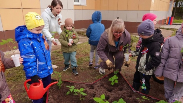 Больше 500 цветников высадили юные жители Верхневолжья в честь 80-летия Победы