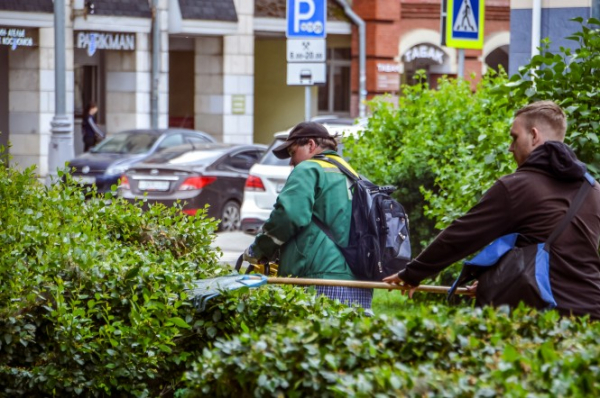 Цветущий город: в Твери оформляют новые клумбы и ухаживают за зелёными зонами Цветущий город: в Твери оформляют новые клумбы и ухаживают за зелёными зонами