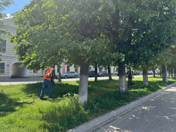 Цветущий город: в Твери оформляют новые клумбы и ухаживают за зелёными зонами Цветущий город: в Твери оформляют новые клумбы и ухаживают за зелёными зонами