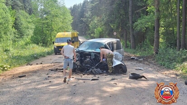 Появились подробности ДТП в Тверской области, где пострадали две девочки и женщина Появились подробности ДТП в Тверской области, где пострадали две девочки и женщина