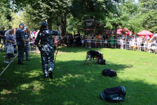 На Дне города Твери полицейские продемонстрировали оружие разных эпох На Дне города Твери полицейские продемонстрировали оружие разных эпох