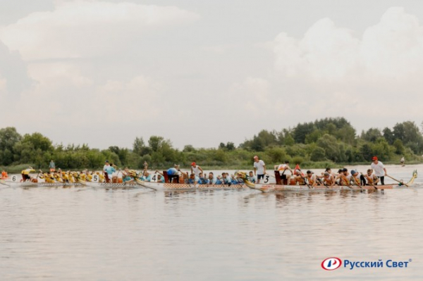 Лидер отрасли и спорта: Кубок "Русского Света" установил новый рекорд
