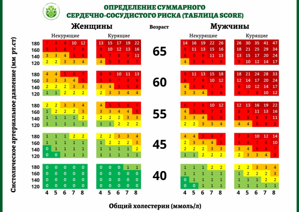 Мозг и сердце: как предотвратить двойную сердечно-сосудистую катастрофу Мозг и сердце: как предотвратить двойную сердечно-сосудистую катастрофу