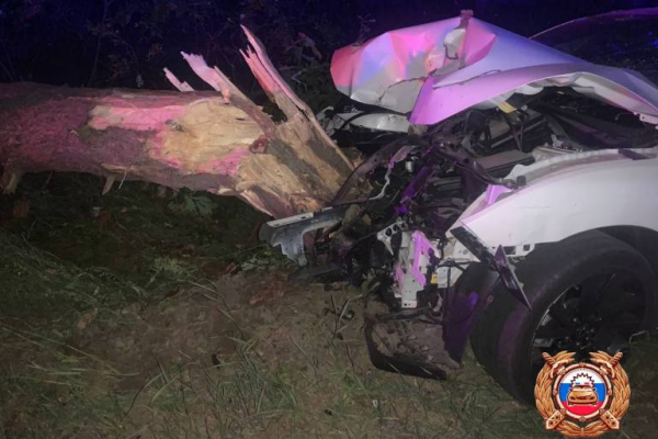 Приехавший на свадьбу в Тверь пьяный водитель протаранил дерево Приехавший на свадьбу в Тверь пьяный водитель протаранил дерево