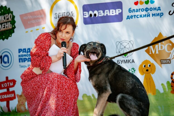 Стало известно, как собаководы смогут развлечься в Твери