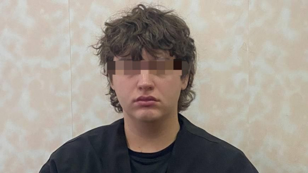 Обезьяна только на фото: москвич обманул жительницу Твери на 69 тысяч рублей Обезьяна только на фото: москвич обманул жительницу Твери на 69 тысяч рублей