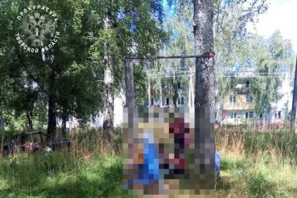В Тверской области возбуждено уголовное дело по факту гибели 7-летнего мальчика