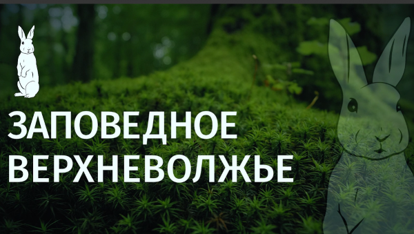 Заповедное Верхневолжье: история Малобесковского и Крестовского дубов-великанов Заповедное Верхневолжье: история Малобесковского и Крестовского дубов-великанов