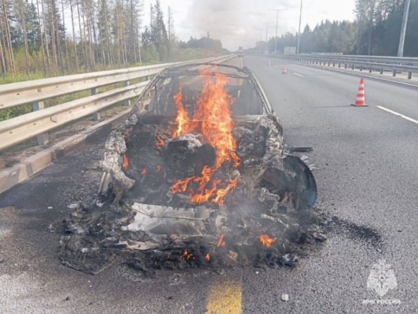 На трассе в Бологовском округе сгорел автомобиль