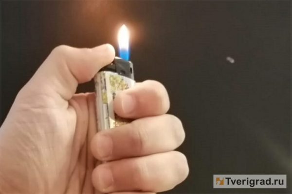 В Тверской области мужчина заживо сжег домашний скот В Тверской области мужчина заживо сжег домашний скот