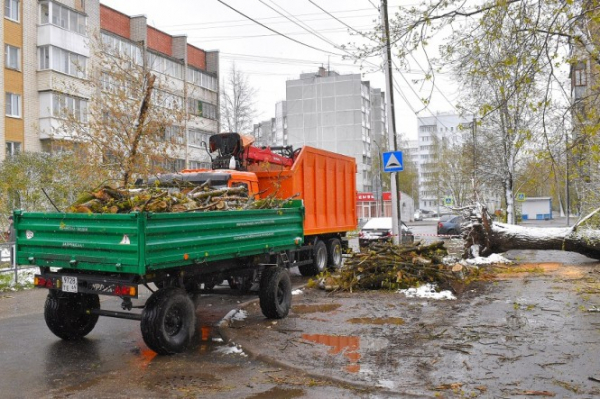 В Твери продолжают расчищать улицы от поваленных деревьев В Твери продолжают расчищать улицы от поваленных деревьев