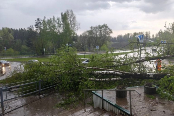 Ураганный ветер натворил бед в Ржеве Ураганный ветер натворил бед в Ржеве