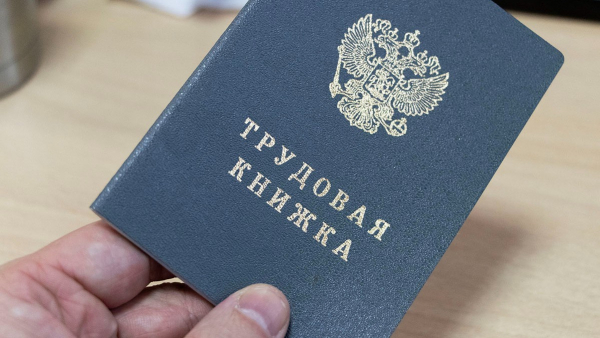 Минтруд назвал самые высокооплачиваемые профессии России Минтруд назвал самые высокооплачиваемые профессии России