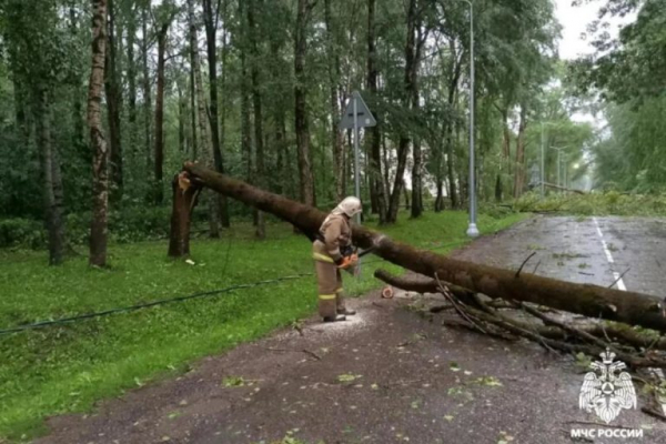 Непогода вновь натворила бед в 16 округах Тверской области Непогода вновь натворила бед в 16 округах Тверской области