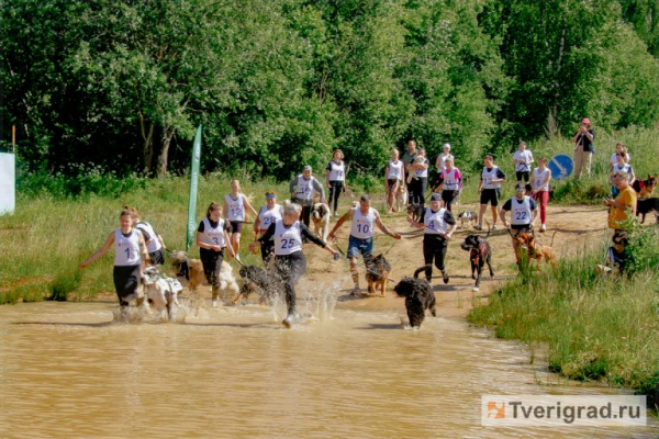 По колено в грязи, по уши в счастье: под Тверью прошёл первый «Мохнатый Замес» По колено в грязи, по уши в счастье: под Тверью прошёл первый «Мохнатый Замес»