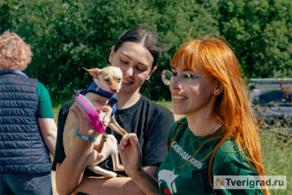 По колено в грязи, по уши в счастье: под Тверью прошёл первый «Мохнатый Замес» По колено в грязи, по уши в счастье: под Тверью прошёл первый «Мохнатый Замес»