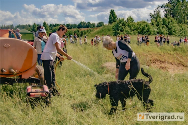 По колено в грязи, по уши в счастье: под Тверью прошёл первый «Мохнатый Замес» По колено в грязи, по уши в счастье: под Тверью прошёл первый «Мохнатый Замес»
