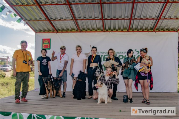 По колено в грязи, по уши в счастье: под Тверью прошёл первый «Мохнатый Замес» По колено в грязи, по уши в счастье: под Тверью прошёл первый «Мохнатый Замес»