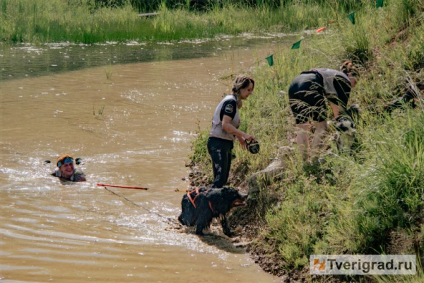 По колено в грязи, по уши в счастье: под Тверью прошёл первый «Мохнатый Замес» По колено в грязи, по уши в счастье: под Тверью прошёл первый «Мохнатый Замес»