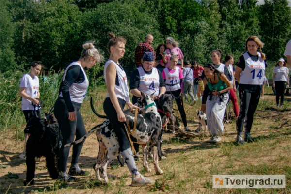 По колено в грязи, по уши в счастье: под Тверью прошёл первый «Мохнатый Замес» По колено в грязи, по уши в счастье: под Тверью прошёл первый «Мохнатый Замес»