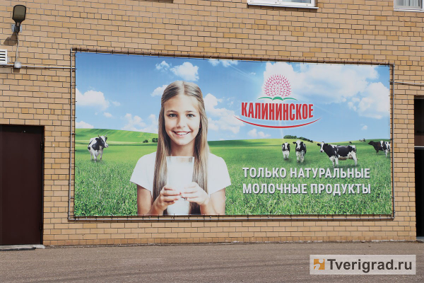 Почему тверские школьники стремятся провести каникулы на ферме Почему тверские школьники стремятся провести каникулы на ферме