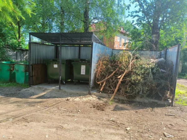 В Минприроды напомнили, что запрещено бросать в мусорные баки В Минприроды напомнили, что запрещено бросать в мусорные баки