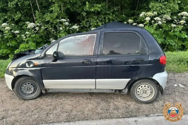 В Тверской области три человека пострадали в ДТП с лосем В Тверской области три человека пострадали в ДТП с лосем