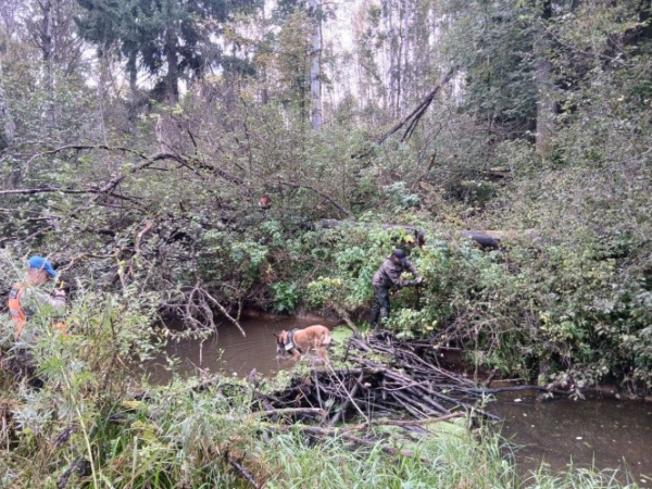 Ищут уже месяц: появились свежие фото с поиска пропавшего во Ржеве подростка Ищут уже месяц: появились свежие фото с поиска пропавшего во Ржеве подростка