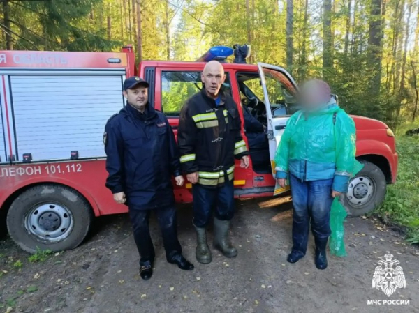 Тверские спасатели вывели женщину из ночного леса Тверские спасатели вывели женщину из ночного леса