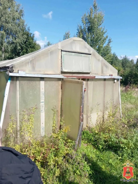 Жительница Удомли в теплице вырастила урожай на два года колонии
